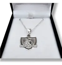 Comprar Colgante Colo Colo De Plata Nacional 950 + Cadena De Plata