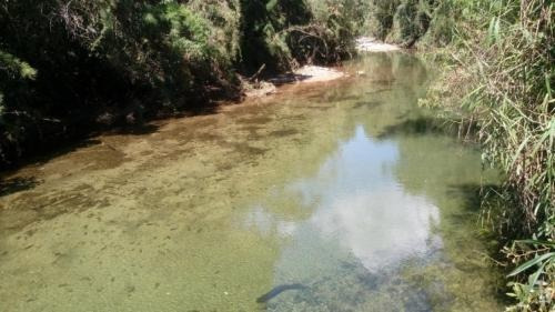 Imagem 4 de 6 de Área Para Compensação Ambiental - Itanhandu 6488 | A.c.m