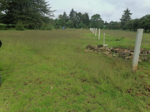Imagen 1 de 12 de Terreno En Venta Santo Tomás Allende