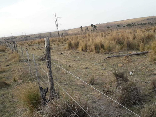 Imagen 7 de 10 de Vendo Lotes En Yacanto, Calamuchita.