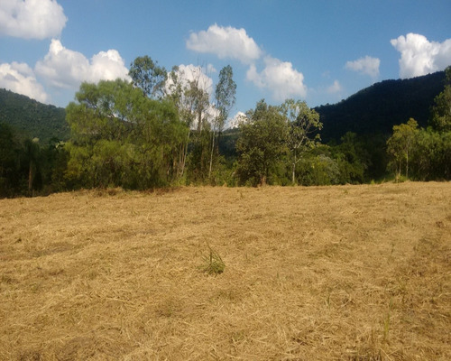 Chácara 5.000 M² - Lomba Grande - Novo Hamburgo - Rs - 1440 - 32419961
