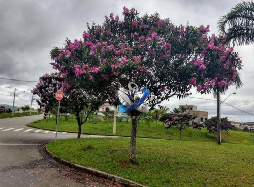 Imagem 6 de 8 de Terreno À Venda, 256 M² Por R$ 100.000,00 - Reserva Do Vale - Caçapava/sp - Te0541