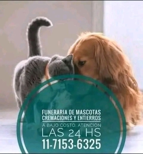 Imagen 1 de 5 de Cremación De Mascotas A Bajo Costo