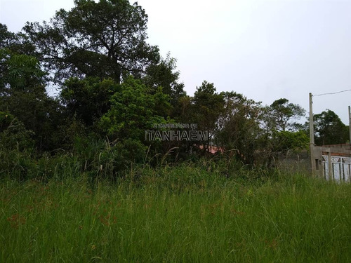 Imagem 1 de 2 de Terreno Para 2 Casas Em Itanhaém - Sue62