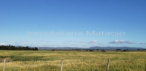 Excelente Fracción De Campo