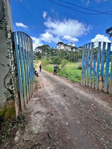 Lotes Em Cotia - Caputera
