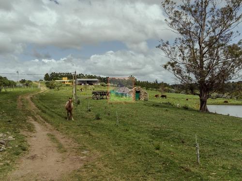 Imagen 13 de 28 de Campo 180 Hás En Altos De Carapé