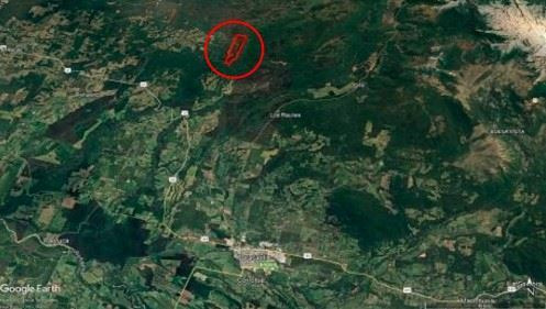 Venta Predio Forestal Curacautín Sin Comisión De Corretaje