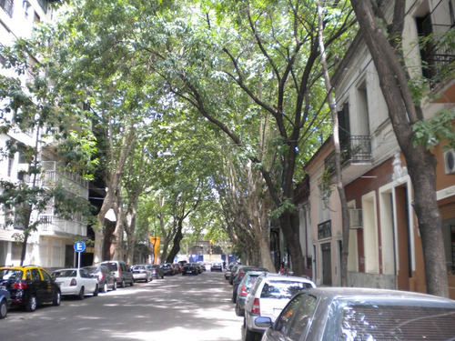 Imagen 12 de 14 de Ph Palermo Al Fte Puerta A La Calle, Uso Comercial, Dueño