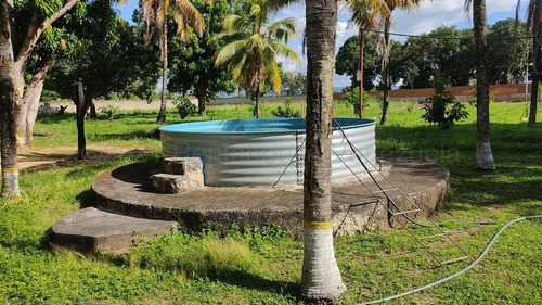 Hermosa Parcela En Venta, Con 2.7 Hectareas De Terreno, Que Cuenta Con Amplia Casa De Dos Pisos Que Cuenta Con 5 Cuartos, 2 Banos, Sala, Comedor Y Cocina, Amplios Corredores Techados