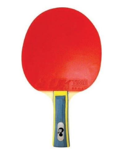 Paleta De Ping Pong Premium Clásica 3 Estrellas 