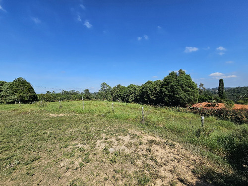 Lindo Sítio Com 22.000m2 - Oportunidade