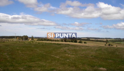 Imagen 3 de 4 de Campo En Venta - Ruta 104