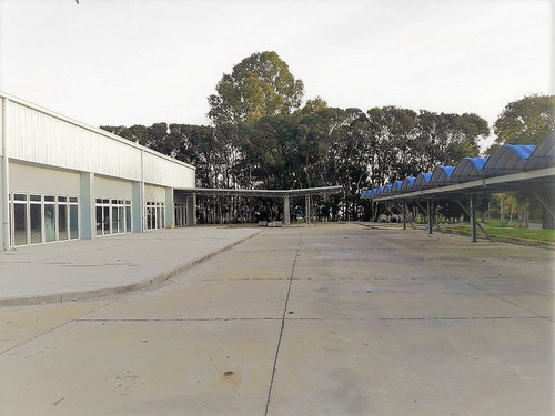 Imagen 9 de 22 de Villa Elisa- 4.5 Has 3.900 M2 Cub- Baum Propiedades