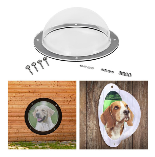 Perro Valla Ventana Domo Insertar Claro Gato Mascota Patio