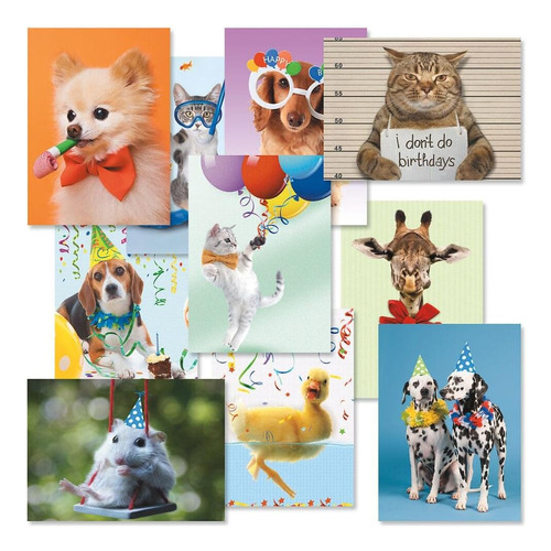 Kids Animal Photo Birthday Greeting Cards Value Pack - ...