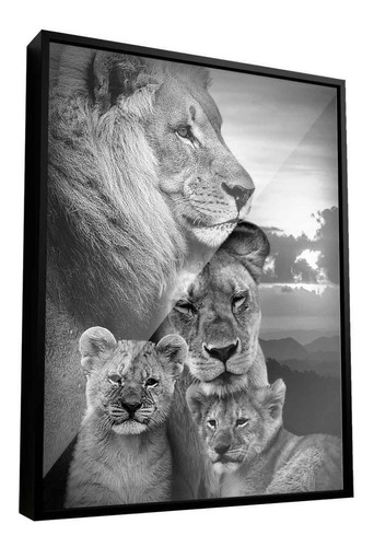 Quadro Família De Leões 122x92cm | Moldura Preta + Vidro Ar