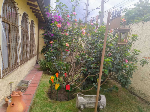 Imagen 3 de 12 de Casa Alhambra