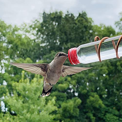 Comedero Para Colibríes De Ventana De Aluminio Sweet Feeders