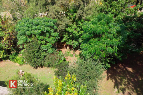 Venta De Fracción Con Costa Sobre Rio Paranacito