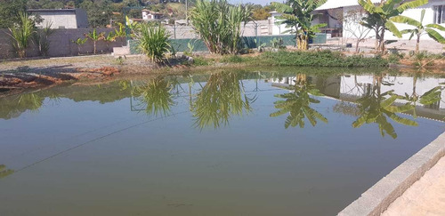 Imagem 2 de 13 de Boa Chácara C/ Piscina E Lago