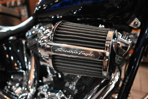 Imagen 11 de 15 de Harley-davidson Cvo Softail Convertible