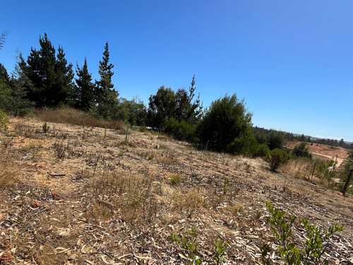 Terreno En Venta Fundo Las Mercedes, Placilla De Peñuelas