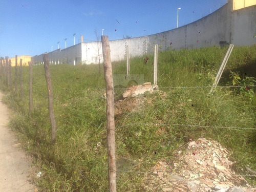 Imagem 4 de 16 de Terreno Localizado(a) No Bairro Ponta Negra Em Natal / Natal - 360