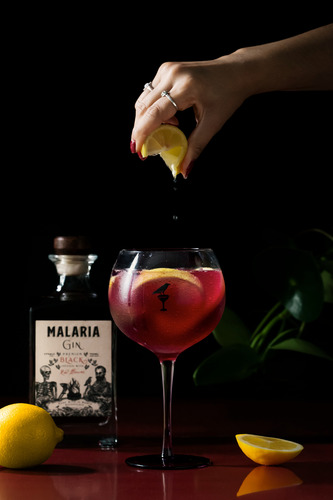 Jägermeister Licor Herbal 700ml + Malaria Gin Black Botella