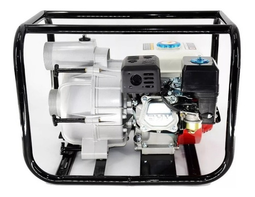 Imagen 2 de 3 de Motobomba Kawano Kwb300