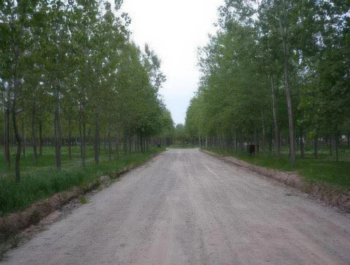 Terreno En Venta - 669mts2 - General Belgrano
