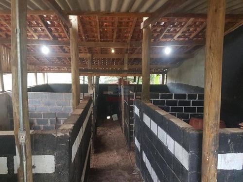 Imagem 10 de 14 de Sitio Ibiuna 40.000 Mts Sede,piscina,lago, Campo E Baias !!