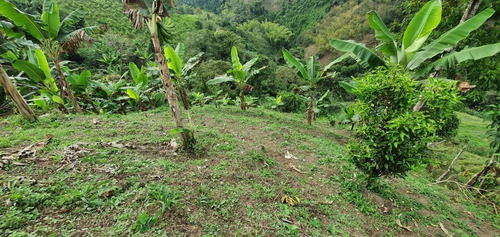 Imagen 14 de 20 de Hermosa Finca Cerca A Pereira