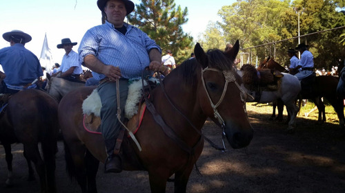 Campos Chacra Estancia Necesitamos Ya!! Para Arrendar Alquilar Venta Ganadero Agricola Tambo Forestal Pedidos Concretos Todo El Pais Se Ofrece Garantía Renta Pagada Adelantada Rápida Revisión Reserva