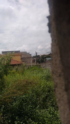 Terreno Residencial À Venda, Vila Miami, São Paulo - Te0464. - Te0464