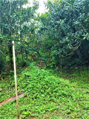 Imagem 24 de 30 de Chácara Á Venda Em Mongaguá!! - Ch0220