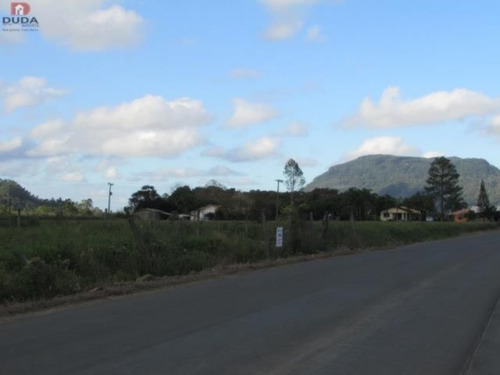 Imagem 4 de 10 de Terreno - Vila Maria - Ref: 23543 - V-23543
