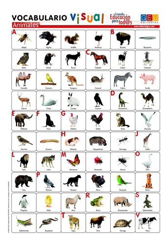 Lámina De Vocabulario Visual. Animales (material Escolar Y P