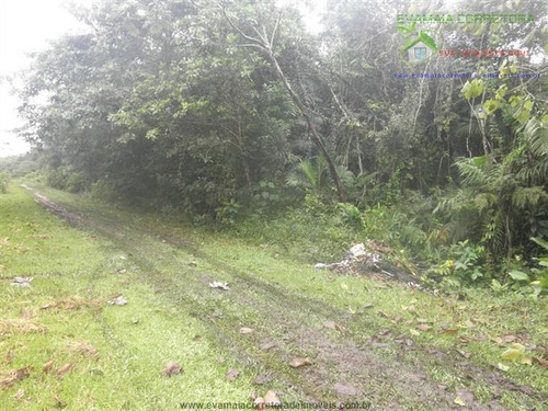Imagem 4 de 7 de Terrenos Na Praia À Venda Em Itanhaem/sp - Compre O Seu Terrenos Na Praia Aqui! - 1238116