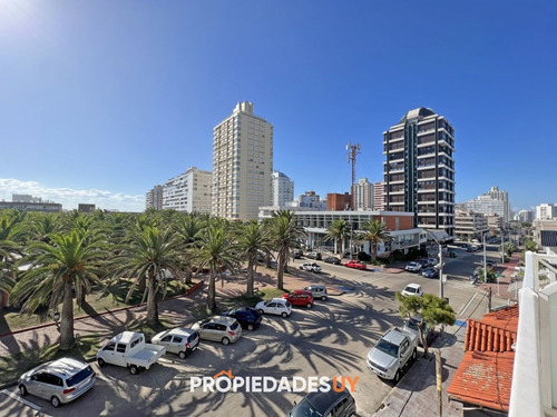 Imagen 4 de 24 de Dto Frente A Plaza De Los Artesanos, 2 Dorm