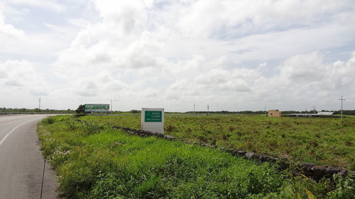 Gran Rancho En Venta En Buctzotz