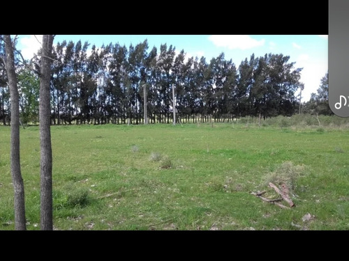 Terreno Oportunidad Dueño Directo San Pedro ,escritura
