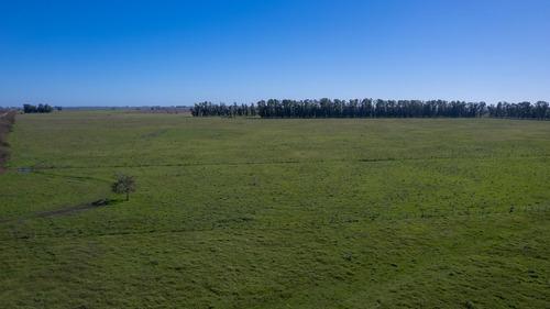 Campo En Venta Mixto 188ha San Andres De Giles