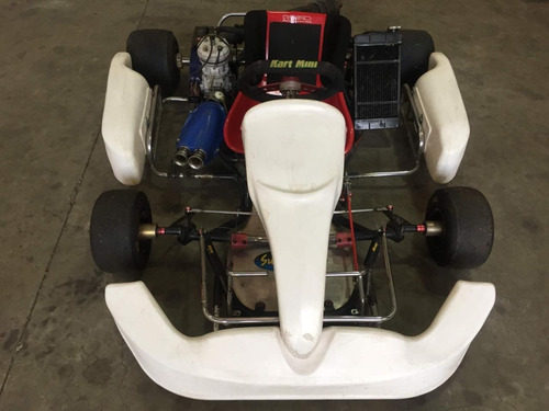 Mini Kart Smart Motor Leopard Parilla Rl 125cc Chassis 2006