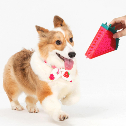 Imagen 3 de 9 de Juguete Mordedor Perro Cachorro Sandia Nunbell