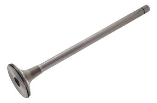 Valvula De Admision Cummins L10, M11 Oem 3068828
