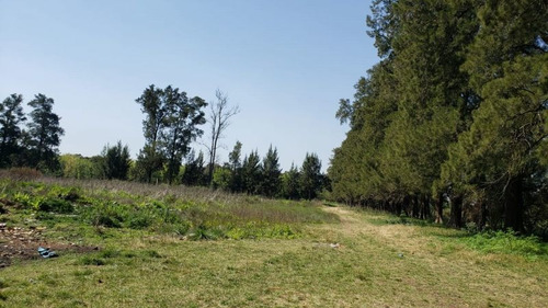Imagen 3 de 3 de Campo En Venta En Merlo