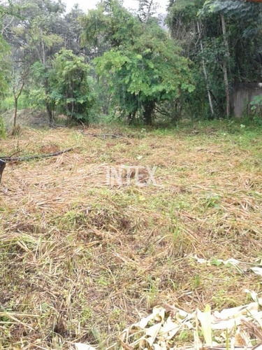Imagem 12 de 13 de Excelente Terreno Na Estância De Pendotiba Plano Para Venda. - Te00057 - 69034123