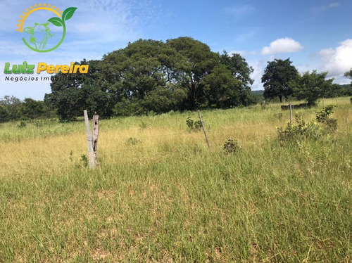 Imagem 3 de 15 de Fazenda À Venda Em Corguinho - Ms - 1.063 Hectares (dupla Aptidão) - 1941