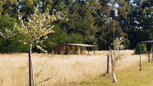 Estancia Benquerencia - Chacra 270 San Miguel Del Monte